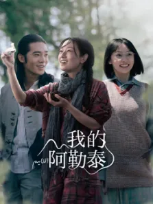 我的阿勒泰电视剧海报
