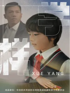 学样电视剧海报