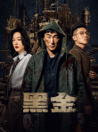 黑金电视剧海报