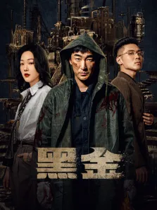 黑金电视剧海报