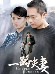 一路夫妻电视剧海报