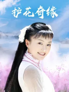 护花奇缘电视剧海报