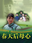 春天后母心电视剧海报