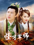 怪才军师电视剧海报
