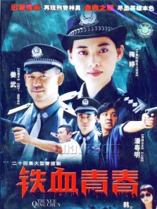 铁血青春电视剧海报