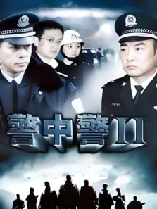 警中警2电视剧海报