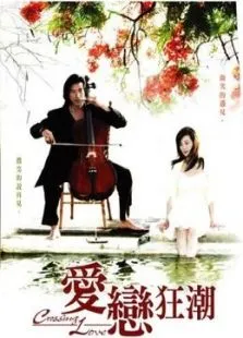 爱恋狂潮电视剧海报