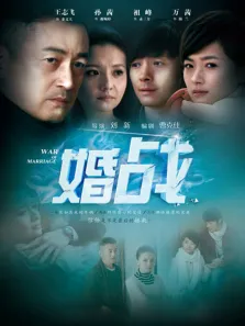 婚战电视剧海报