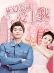 饭制剧：霸道总裁爱上我电视剧海报