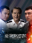 新刑警本色电视剧海报