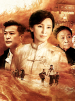娘道DVD版电视剧海报