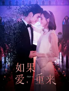 如果爱，重来电视剧海报