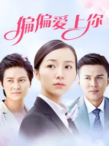 偏偏爱上你电视剧海报