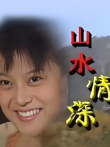山水情深电视剧海报