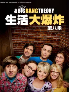生活大爆炸 第八季电视剧海报