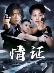 情证电视剧海报