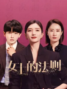 女士的法则电视剧海报