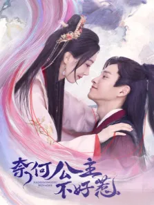 奈何公主不好惹电视剧海报