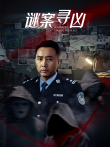 谜案寻凶电视剧海报