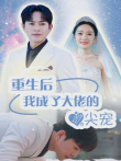 重生后我成了大佬的心尖宠电视剧海报