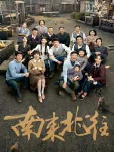 南来北往电视剧海报