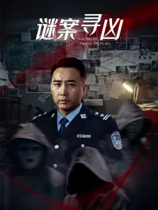 谜案寻凶电视剧海报