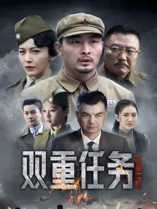 双重任务电视剧海报