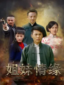 姐妹情缘电视剧海报