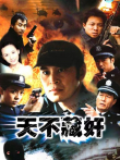 天不藏奸电视剧海报