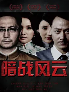 暗战风云电视剧海报