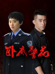 卧底警花电视剧海报