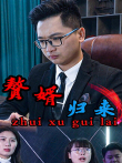 赘婿归来电视剧海报