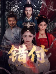 错付电视剧海报