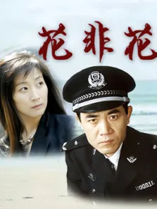 花非花电视剧海报