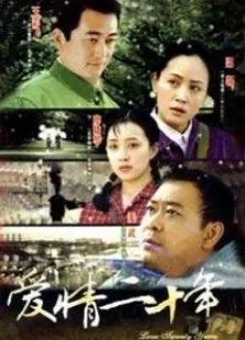 爱情二十年电视剧海报