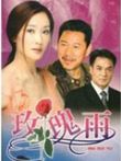 玫瑰雨电视剧海报