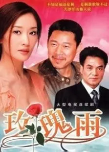 玫瑰雨电视剧海报
