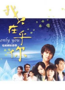 我只在乎你电视剧海报