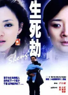 生死情劫电视剧海报