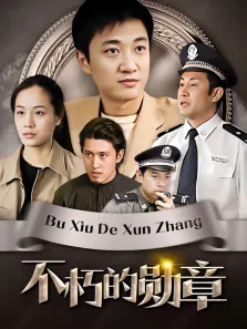 不朽的勋章电视剧海报