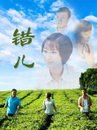 错儿电视剧海报