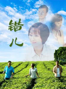 错儿电视剧海报