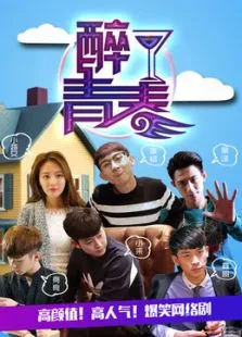 醉了青春电视剧海报