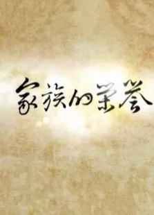 家族的荣誉电视剧海报