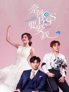 奈何boss要娶我电视剧海报
