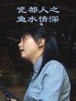 瓷都人之鱼水情深电视剧海报