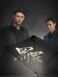 罚罪电视剧海报