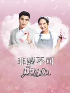 非婚不可电视剧海报