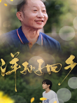 洋孙子回乡电视剧海报
