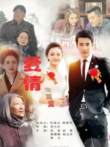 爱情变变变电视剧海报